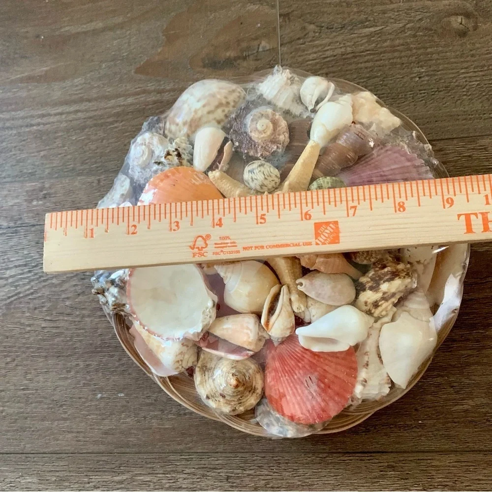 Beach Basket assorted sea Shells